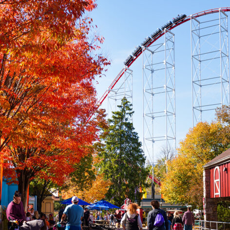 Dorney Park as seen in the fall